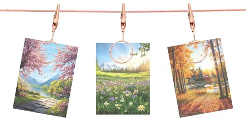 QUARKZMAN Cavo in Acciaio per Appendere Foto al Muro con 10 Clip Rotondo, 5Ft Cornice Regolabile per Appendere Foto Collage Decorativo da Muro per Cartoline Arte Oro Rosa