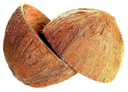 Sri Care® Natural Coconut Bowl Halves Coconut Shell for Handicraft or pet Feeder and Candle Maker and Christmas and Halloween Decorations (2 with Fiber)