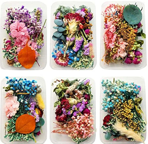 1 Box Natürliche Getrocknete Trockenpflanzen Für DIY Epoxidharz Charme Anhänger Aromatherapie Kerze Schmuck Machen Handwerk Zubehör