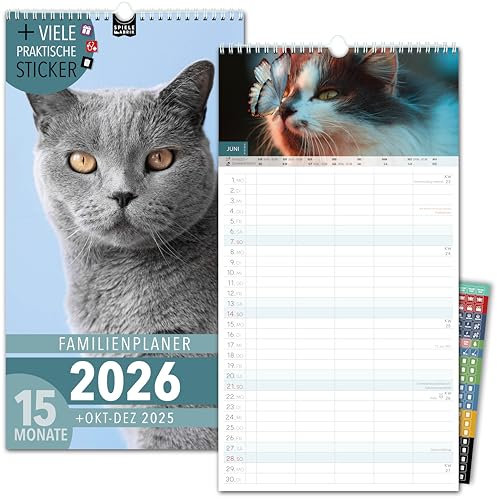 Familienkalender 2026 5 Spalten KATZEN Familienplaner 2026 mit STICKER Urlaub Recycling Ferien Wandplaner 2026 Wandkalender 23 x 43cm inkl. Okt-Dez 2025, Pflanzkalender, niedlich Kätzchen Cats