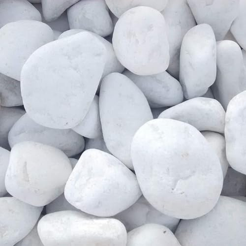 Vegara Stone Piedra Jardín Decoración Canto Rodado Blanco Puro 2-4 cm (3 kg)