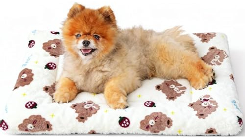 Saituo Home Couverture Chien, Plaid Chien Lavable, Couverture Chat en Flanelle, 60 X 40 CM, Protection de Canapé pour Chiens en Polaire Sherpa pour Petits Chiens Chats et Chiots (Petit Ours)