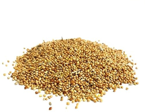 200g BUDGIE SEED MIXED CAGE BIRD FOOD SLW