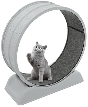 DAHAD Ruota per gatti domestici tapis roulant per gatti con tappeto rimovibile e pesca per gatti, antigraffio, stabile e silenzioso, adatto per la maggior parte dei gatti fino a 10 kg