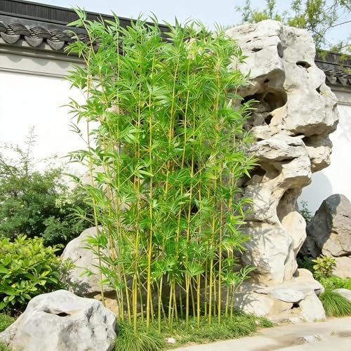 SEIFE Bambú Artificial de Alta Simulación, Planta Falsa con Cañas Reales para Decoración de Interiores y Paisajismo de Jardín, Varas de Bambú Decorativas, Sin Maceta(100bamboos,2m/6.5ft)