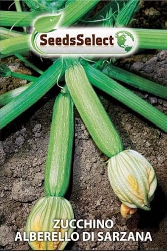 ZUCCHINO ALBERELLO DI SARZANA, SEMI IN BUSTINA