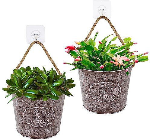 BOFUNX 2pcs Fioriere da Parete Vasi di Fiori da Parete Vasi da Appendere a Parete Vaso Sospeso in Metallo per Interni e Esterni Casa Muro Decorazione