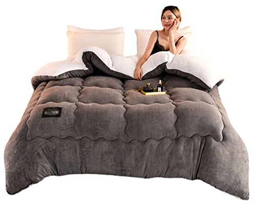 BDMFJY 2,5–5 kg supervarmt lamm enfärgad vinterfilt dubbelsidig fleecefilt förtjockat varmt plyschtäcke, A, 220 x 240 cm (5 kg)