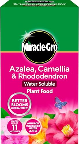 Miracle-Gro Azalea, Camellia & Rhododendron Water-Soluble Plant Food 1kg | Acid-Loving Plant Feed for Healthy Growth & Vibrant Blooms | Ideal for Ericaceous Plants, Shrubs & Trees