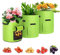 LITLANDSTAR 3 Pack Potato Grow Bags - Gardening Plant Growing Bags - Tomato, Carrot Vegetable Planter Container with Window, Felt Plant Growing Bags with Handles Garden Grow Bags(Green), 10 Gallon