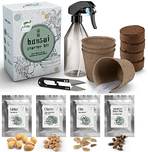 JATISI Bonsai-Starter Kit Green – Glücksbaum zum selbst züchten - 4 unterschiedliche Samen – Komplettset für Anfänger – Inkl. Sprühflasche, Schere & Ratgeber – Nachhaltiges Bonsai-Anzuchtset