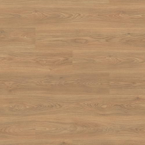 Klick - Suelo laminado Cottage con junta V4 en aspecto de tablón, 7 mm de grosor, sistema de clic, clase de uso AC3/31 - Formato: 1285 x 192 x 7 mm - Usted compra 1 m² (suelo laminado, 1 m², roble