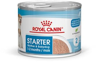 Royal Canin Starter Mousse Mother & Babydog | 12 x 195 g | Nourriture Humide Ultra Soft Mousse | pour chiennes au dernier Tiers de la Gestation et Pendant la période d'allaitement