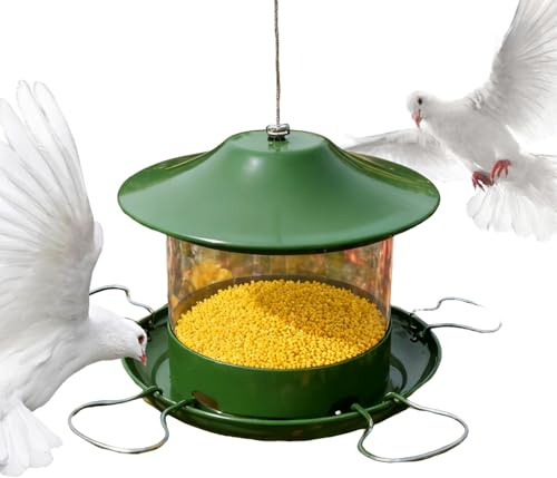 Distributore di cibo sospeso per piccoli come fringuelli selvatici, passeri, cince in giardino e in grande volume