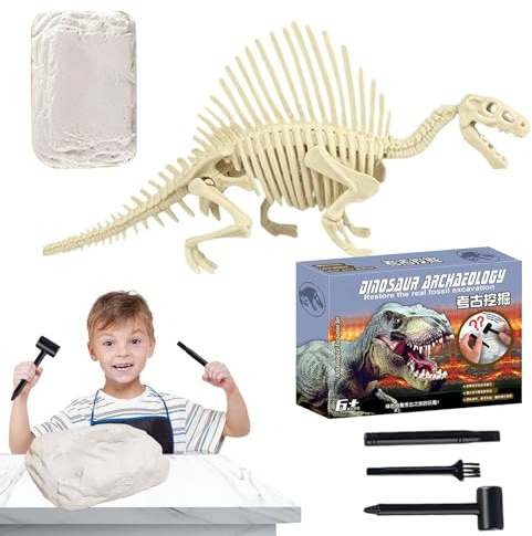 Kit de fouille de fossiles de Dinosaures – Jouet d'excavation de Squelette de spinosaure, modèle Scientifique de fouille archéologique | Artisanat éducatif d'exploration de tiges pour de 4 à 6