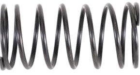 STIER Nadelentroster-Ersatzfeder