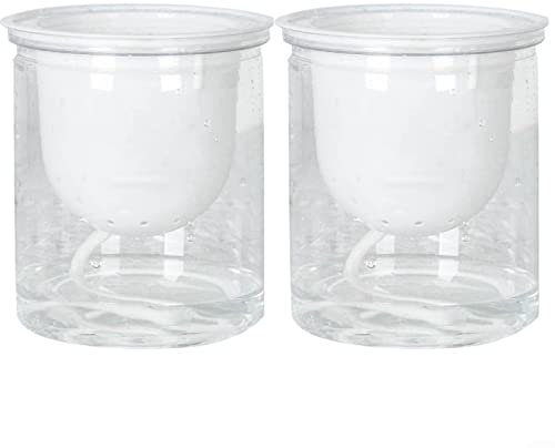 HEIBTENY 2 vasi da fiori autoirriganti, trasparenti, per interni ed esterni, piante, fiori, erbe per la cucina, per piante fresche da cucina