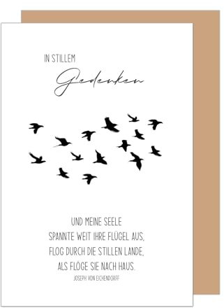 Edition Seidel Premium Trauerkarte mit Umschlag. Beileidskarte Trauer Karte mit Spruch In stiller Trauer Aufrichtige Anteilnahme Abschied letzter Gruß Mitgefühl Vögel (T1183 SW024)