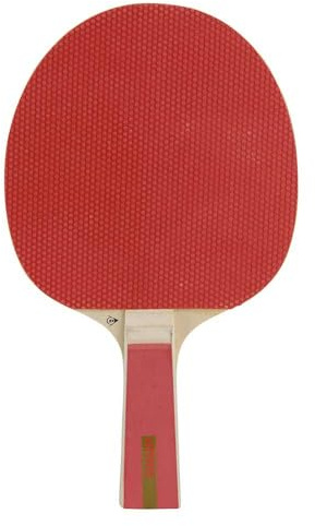Dunlop Nitro Tischtennisschläger für Einsteiger