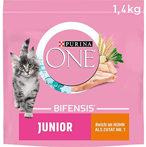 PURINA ONE Junior, Reich an Huhn und Vollkorn-Getreide Katzentrockenfutter, 6er Pack (6 x 1500 g)