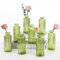 Sawoake Kleine Vasen, 8 Stück Glasvasen für Tischdeko Mini Vasen Glasfläschchen für Zuhause, Hochzeiten, Geburtstage, Feste (Grün Vertical)