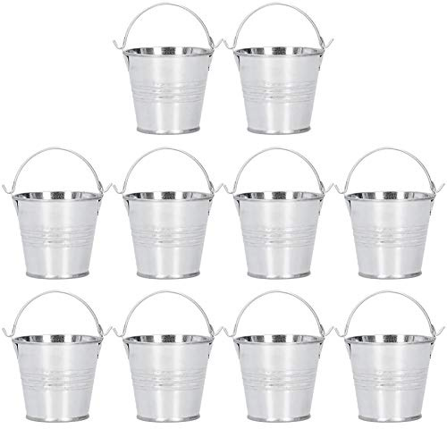 Beufee 10 vasi per piante, vasi da fiori vasi per piante grasse vaso per cactus secchio in metallo fioriera vintage vaso per piante moderno vasi per piantare piccoli vasi per piante da (4 * 5.5 * 6)