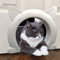 Porte intérieure pour chat - Chatière pour animaux domestiques - Portes d'intérieur pour chats - Portes d'intérieur en PVC - Noyau creux ou portes intérieures solides - Pour chats, chatons et chiens