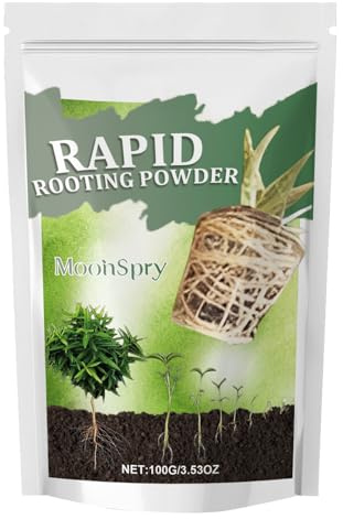 Activateur de racines, 100 g, poudre d'enracinement rapide, tonifie et renforce la croissance des plantes et des racines, poudre d'enracinement pour boutures (1 Activateur de racines)