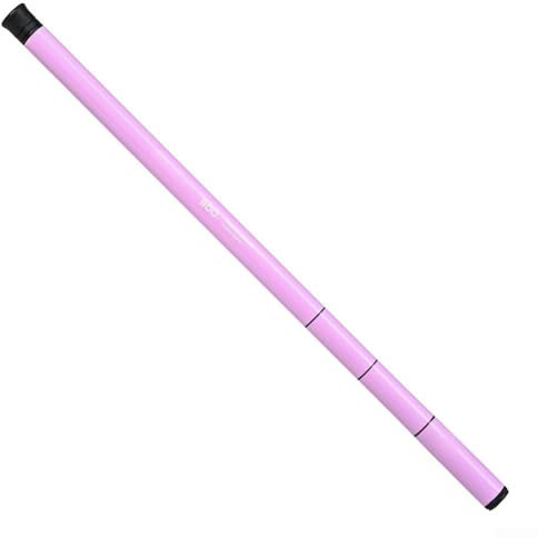 Teleskop-Angelrute für Kinder, 300 cm, Fiberglasstange, ideal für junge Angler (Rosa)