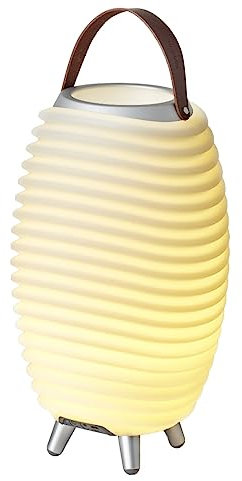 Kooduu Synergy 35 Lampe d'Enceinte Portable avec Rafraîchisseur de Vin - Lumière LED, Haut-Parleur sans Fil Bluetooth et Support de Bouteille de Vin - Décoration Intérieure et Extérieure, Small