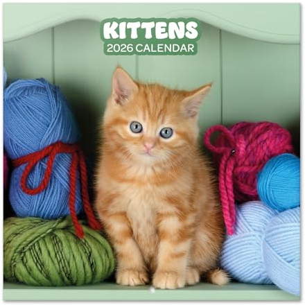 Grupo Erik Calendario 2026 pared Gatos - Almanaque pared 2026 : Planificador mensual Con espacio para Anotar, Ilustraciones y Fácil de colgar (30x30cm)