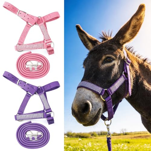 Yeyeplum 2 Set Miniature Donkey Halter with Lead Ropes, Cute and Stylish Adjustable Nylon Head Collar Set for Miniature Donkeys (Purple)
