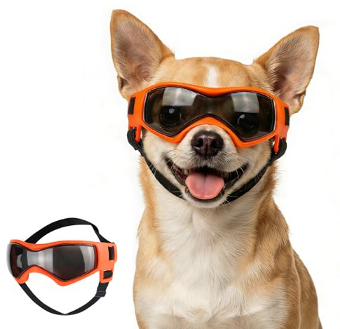 Namsan Hundglasögon för Extra Små Hundar UV-skydd Hundsolglasögon med Justerbara Remmar Motorcykelglasögon för Små Hundar, Orange, XS