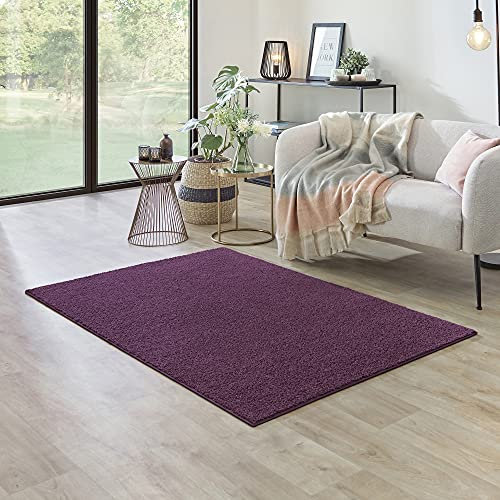 Carpet Studio Ohio Teppich Wohnzimmer 115x170cm, Weicher Kurzflor Teppich, Wohnzimmer, Esszimmer & Schlaffzimmer, Pflegeleicht, Geruchsneutral - Lila