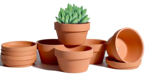 vensovo Terrakotta-Topf für Sukkulenten, flach, 11,4 cm, 6 Stück, mit Untersetzer, Kakuten, Pflanzgefäße für drinnen und draußen, mit Ablaufloch