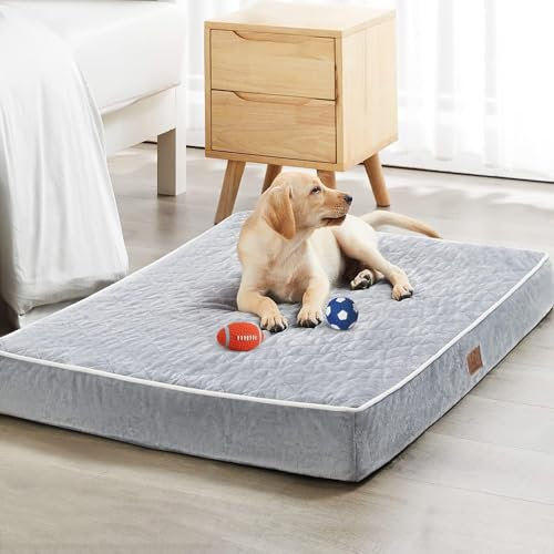 WNPETHOME Orthopedic XXL Dog Beds for Large Senior Dog Bed Comfy Sleeping