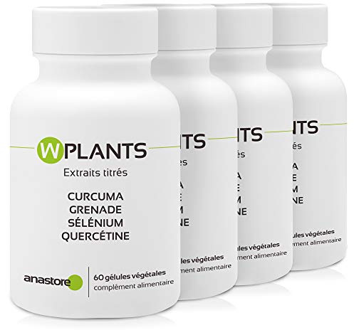 WPLANTS * PACK 3+1 GRATUIT * 317.5 mg / 240 gélules * Articulations (inflammation), Cardiovasculaire, Cerveau, Digestion * Garantie Satisfait ou Rembours * Fabriqué en France