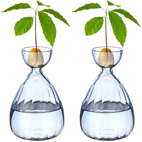 Avocadossamen-Vase, blauer Übertopf, Avocadoss-Baum-Anzucht-Set, Avocados, Baum-Anzuchtvase, transparent, gestreift, Glas-Anzuchtgläser, Behälter für Hydrokulturpflanzen, Gartenliebhaber, 2 Stück