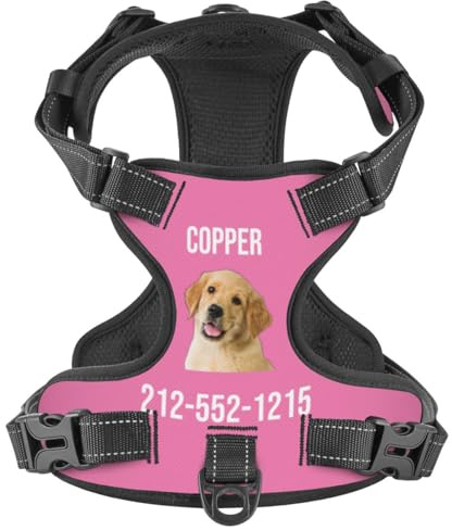 WINKEEY Hundegeschirr Personalisiert Sicherheitsgeschirr Welpengeschirr Brustgeschirr Mit Namen Telefonnummer Anti Zug, atmungsaktiv, reflektierend Für Kleine Mittelgroße und Große Hunde