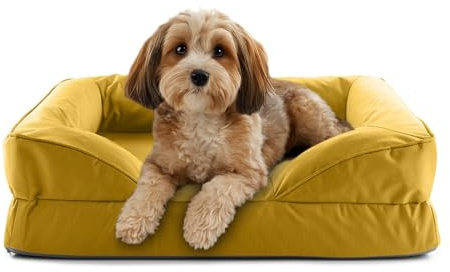Lumaland Cuccia ortopedica per cani per esterni e interni, divano ergonomico 70 x 60 cm, ideale per cani di piccola taglia, fondo antiscivolo, imbottitura e rivestimento lavabile, cestino per cani