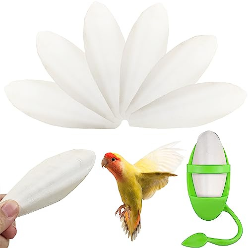 WDEC 6PCS Giocattoli Uccelli(11-13 cm), Giocattoli Uccelli Da Masticare con Supporto in Metallo e Scatola, per Criceti Parrocchetti Animali Domestici Striscianti