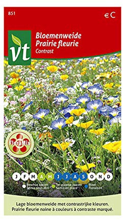 Prairie fleurie Contrast Graines - Plantes naines à effet tapissant