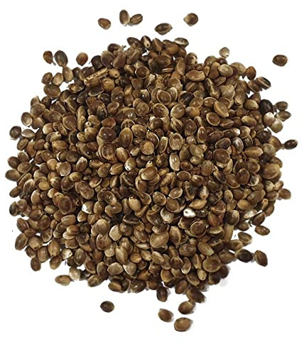 Semillas de cañamón para pájaros. Apta para verderones, jilgueros, Canarios, pinzones, diamentes, periquitos... Sunseed 2Kg