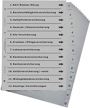 Ordnerregister für Versicherungen, durchdachtes Register für DIN A4 Ordner, Versicherungsordner für Privatkunden und Firmenkunden, lichtgrau
