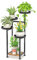 VASZOLA 5 Tier Black Plant Stand Indoor for Large Tall Heavy Duty Planter, Modern Mid Century Metal and Wooden Rack for Narrow House Bathroom Corner Floor, Vertical Spiral Orchid Organizer, Cat Proof