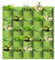 LITLANDSTAR Hängende Pflanztaschen, 25 Taschen, vertikale Wandmontage, Pflanzbeutel, Gartenarbeit, vertikale Begrünung, Blumenbehälter, Pflanztasche, Aufbewahrungstaschen (1 m x 1 m, grün)