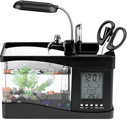 Mini Aquarium USB Aufladbar Multifunktional mit Uhr LED Light Pen Container für Haus Büro (Schwarz)