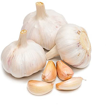 BRKENT Pflanzknoblauch Winterhart Zwiebeln WintergemüSe Balkon GemüSe Knoblauch Pflanzen frisch KräUtergarten KüChenkräUter GemüSepflanzen Garten Winterknoblauch zum bärlauch 6 Steckknoblauch, Weiß