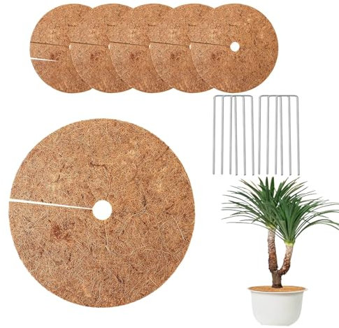 6 Pièces Disque De Noix De Coco, 30cm Disques De Paillage Coco, Tapis De Paillage en Fibre De Coco, Tapis Coco Plantes, Protection Durable des Plantes Protection Contre Le Gel Et Le Froid