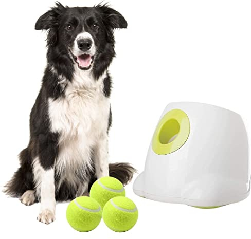 BOT Automatischer Ballwerfer für Hunde, inkl. 3Stk Hundebälle. Interaktives Hundespielzeug für Zuhause und Draußen (Ifetch Maxi 6.4cm)